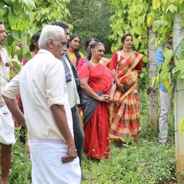 Farmer-Scientist Interaction and Pepper Demonstration Plot Visit at RARS Ambalavayal