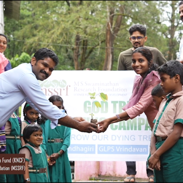 Biodiversity Augmentation Programme For Schools – Sugandhagiri GUPS, Vythiri